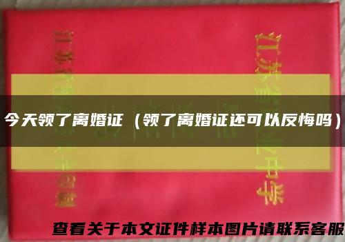 今天领了离婚证（领了离婚证还可以反悔吗）缩略图