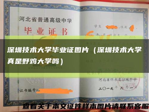 深圳技术大学毕业证图片（深圳技术大学真是野鸡大学吗）缩略图