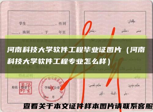 河南科技大学软件工程毕业证图片（河南科技大学软件工程专业怎么样）缩略图