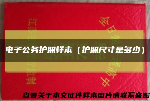 电子公务护照样本（护照尺寸是多少）缩略图