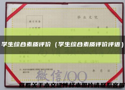 学生综合素质评价（学生综合素质评价评语）缩略图