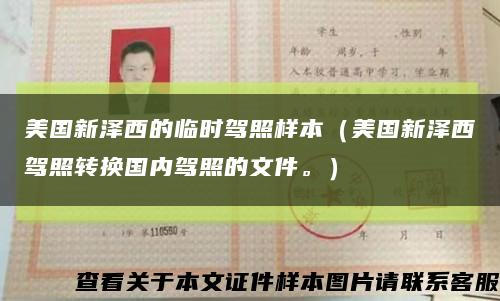 美国新泽西的临时驾照样本（美国新泽西驾照转换国内驾照的文件。）缩略图