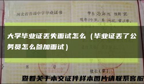 大学毕业证丢失面试怎么（毕业证丢了公务员怎么参加面试）缩略图