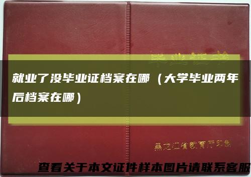 就业了没毕业证档案在哪（大学毕业两年后档案在哪）缩略图