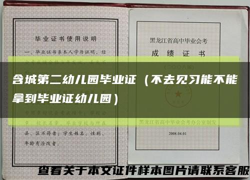含城第二幼儿园毕业证（不去见习能不能拿到毕业证幼儿园）缩略图