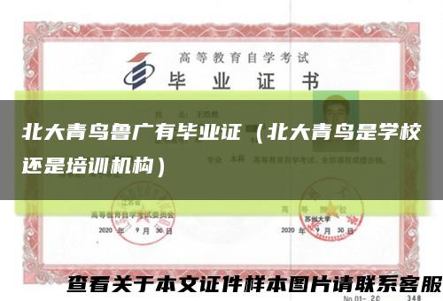 北大青鸟鲁广有毕业证（北大青鸟是学校还是培训机构）缩略图