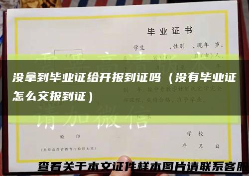 没拿到毕业证给开报到证吗（没有毕业证怎么交报到证）缩略图