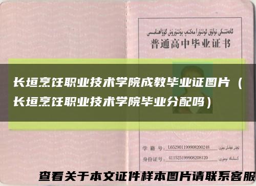 长垣烹饪职业技术学院成教毕业证图片（长垣烹饪职业技术学院毕业分配吗）缩略图