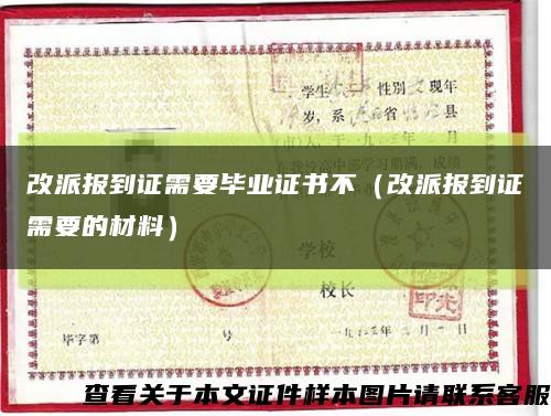 改派报到证需要毕业证书不（改派报到证需要的材料）缩略图