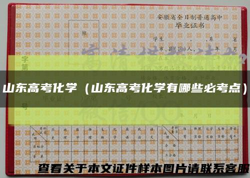 山东高考化学（山东高考化学有哪些必考点）缩略图