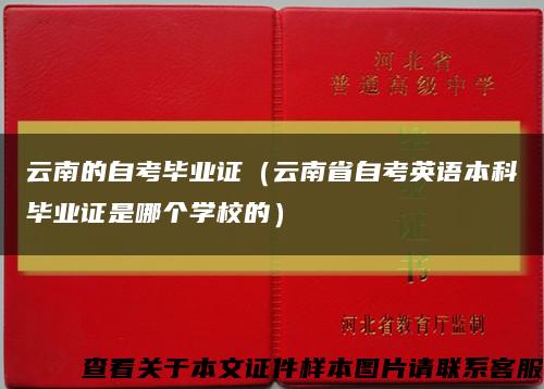 云南的自考毕业证（云南省自考英语本科毕业证是哪个学校的）缩略图