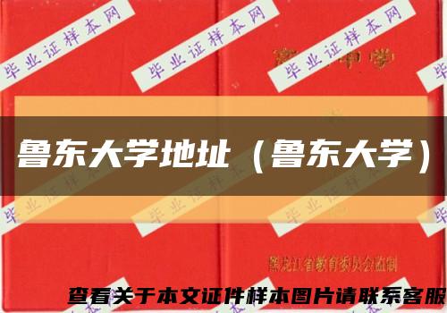 鲁东大学地址（鲁东大学）缩略图