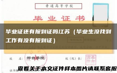 毕业证还有报到证吗江苏（毕业生没找到工作有没有报到证）缩略图