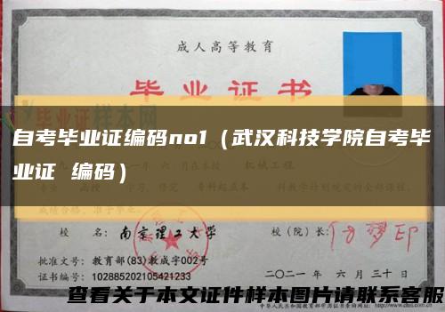 自考毕业证编码no1（武汉科技学院自考毕业证 编码）缩略图