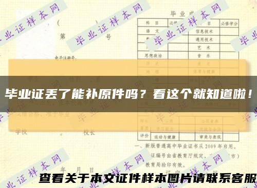 毕业证丢了能补原件吗？看这个就知道啦！缩略图