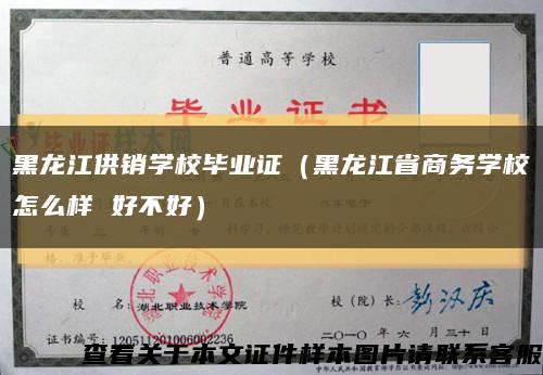 黑龙江供销学校毕业证（黑龙江省商务学校怎么样 好不好）缩略图