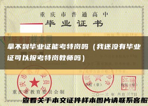 拿不到毕业证能考特岗吗（我还没有毕业证可以报考特岗教师吗）缩略图
