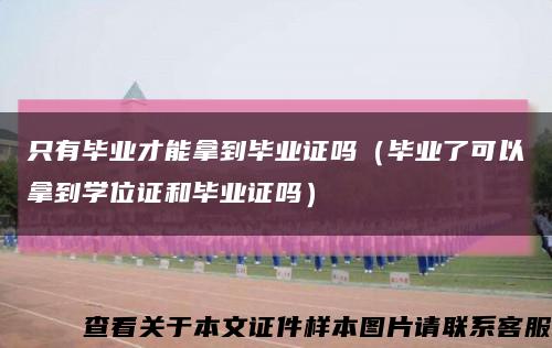只有毕业才能拿到毕业证吗（毕业了可以拿到学位证和毕业证吗）缩略图