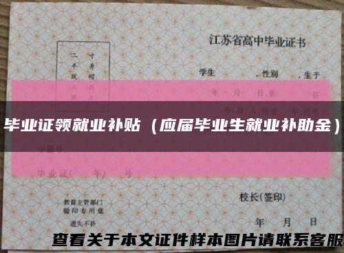 毕业证领就业补贴（应届毕业生就业补助金）缩略图