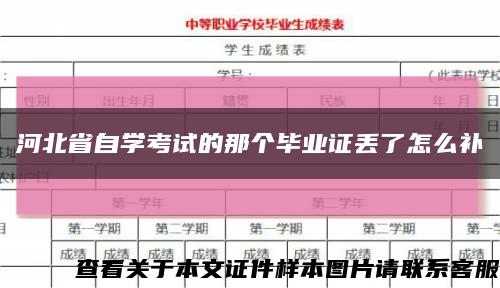 河北省自学考试的那个毕业证丢了怎么补缩略图