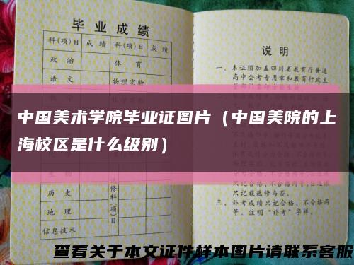 中国美术学院毕业证图片（中国美院的上海校区是什么级别）缩略图