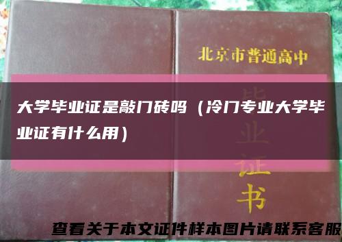 大学毕业证是敲门砖吗（冷门专业大学毕业证有什么用）缩略图