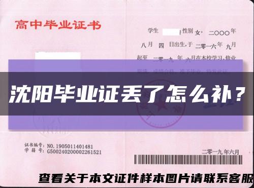 沈阳毕业证丢了怎么补？缩略图