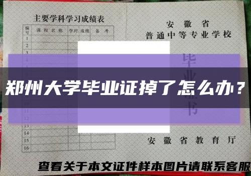 郑州大学毕业证掉了怎么办？缩略图