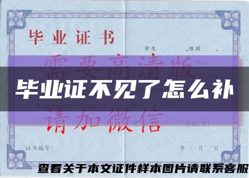 毕业证不见了怎么补缩略图