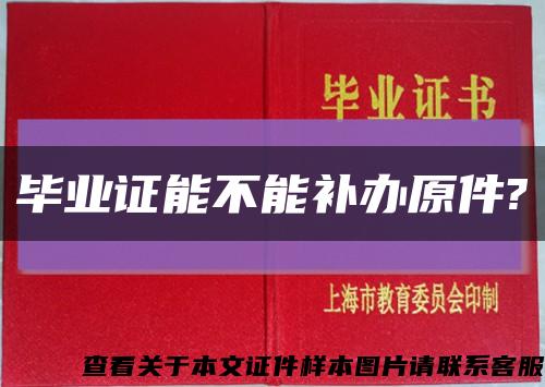 毕业证能不能补办原件?缩略图