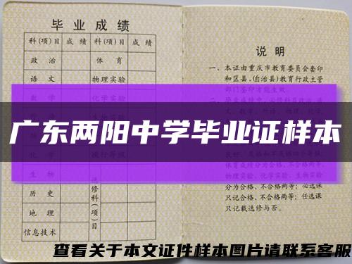 广东两阳中学毕业证样本缩略图
