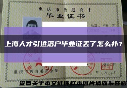 上海人才引进落户毕业证丢了怎么补？缩略图
