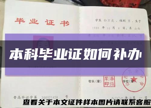 本科毕业证如何补办缩略图