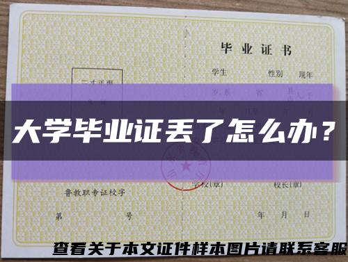 大学毕业证丢了怎么办？缩略图
