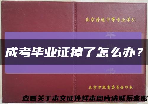 成考毕业证掉了怎么办？缩略图