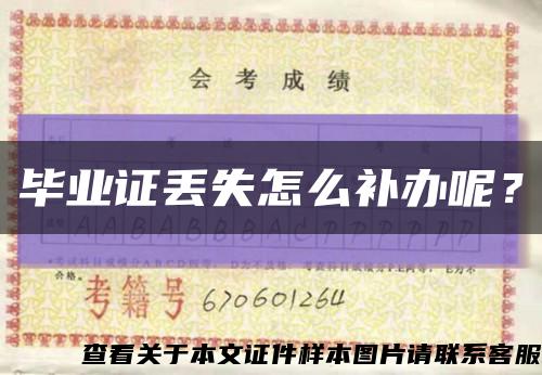 毕业证丢失怎么补办呢？缩略图