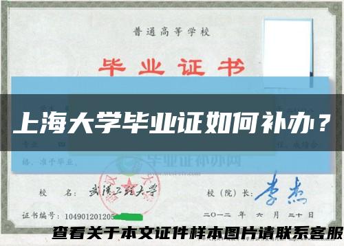 上海大学毕业证如何补办？缩略图