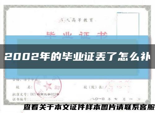 2002年的毕业证丢了怎么补缩略图