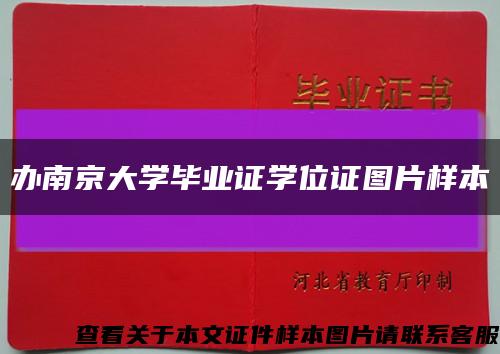 办南京大学毕业证学位证图片样本缩略图