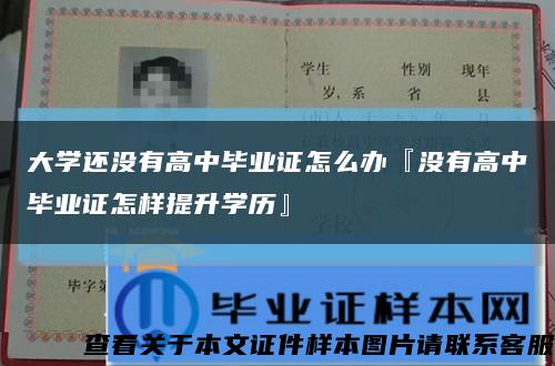 大学还没有高中毕业证怎么办『没有高中毕业证怎样提升学历』缩略图