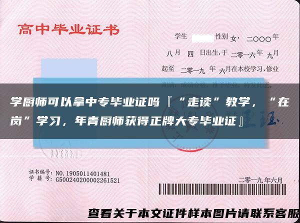 学厨师可以拿中专毕业证吗『“走读”教学，“在岗”学习，年青厨师获得正牌大专毕业证』缩略图