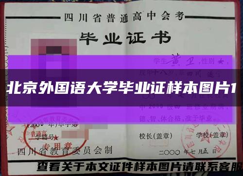 北京外国语大学毕业证样本图片1缩略图