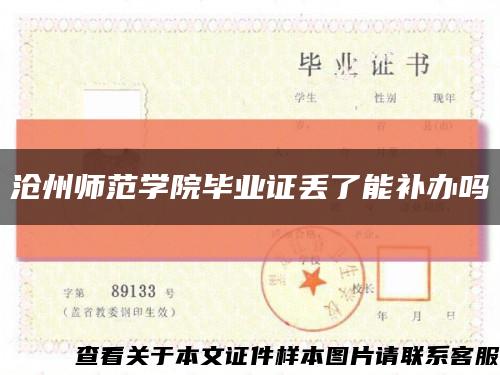 沧州师范学院毕业证丢了能补办吗缩略图