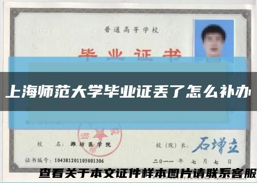 上海师范大学毕业证丢了怎么补办缩略图