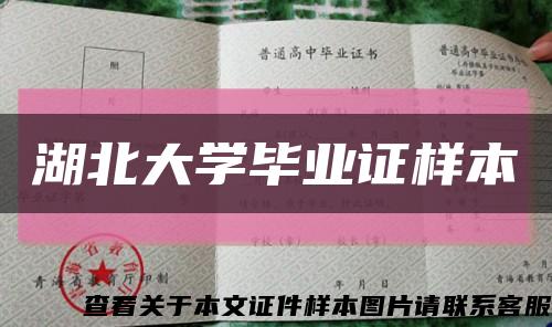 湖北大学毕业证样本缩略图