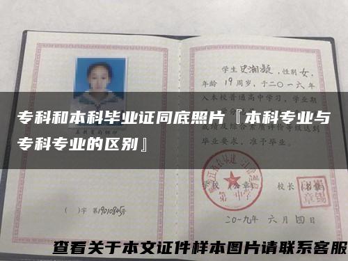 专科和本科毕业证同底照片『本科专业与专科专业的区别』缩略图
