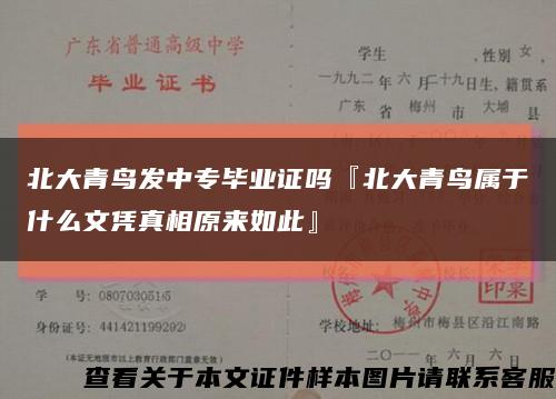 北大青鸟发中专毕业证吗『北大青鸟属于什么文凭真相原来如此』缩略图