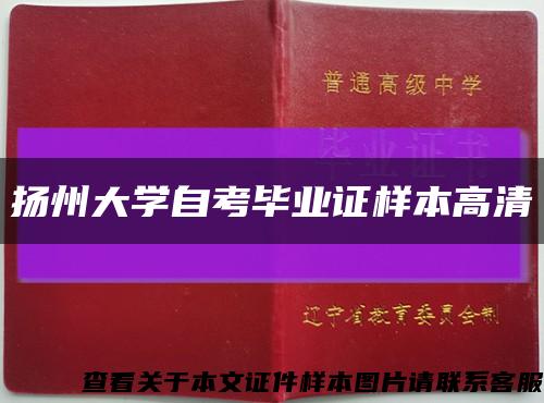 扬州大学自考毕业证样本高清缩略图