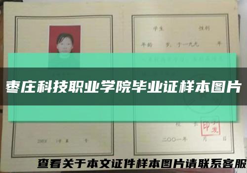 枣庄科技职业学院毕业证样本图片缩略图