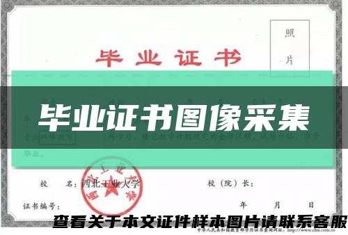 毕业证书图像采集缩略图